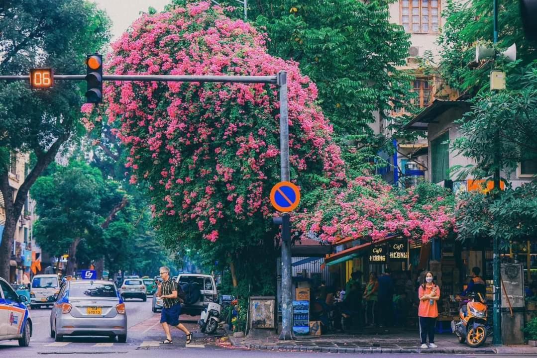 Tropical Land Little Hanoi Homestay Luaran gambar
