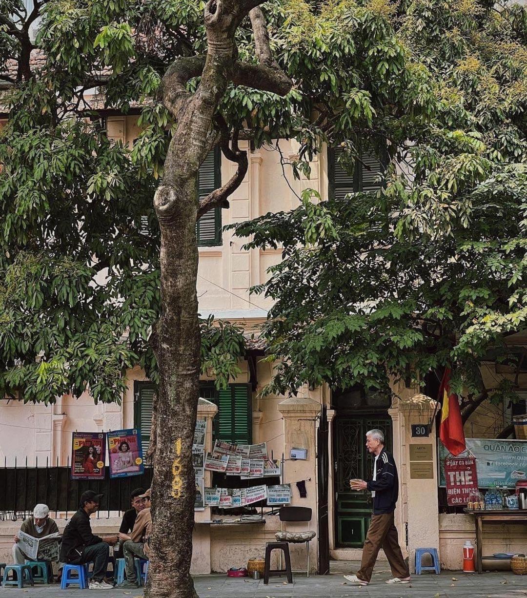 Tropical Land Little Hanoi Homestay Luaran gambar