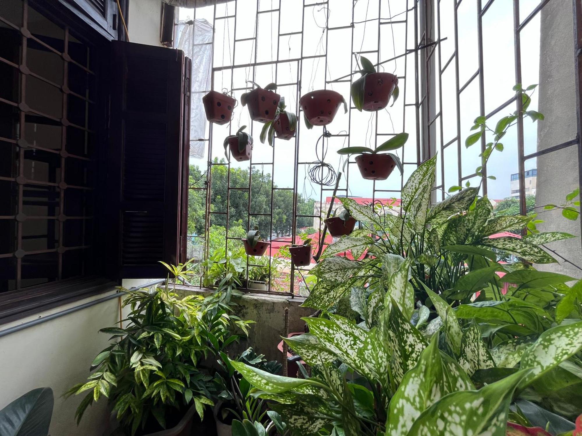 Tropical Land Little Hanoi Homestay Luaran gambar