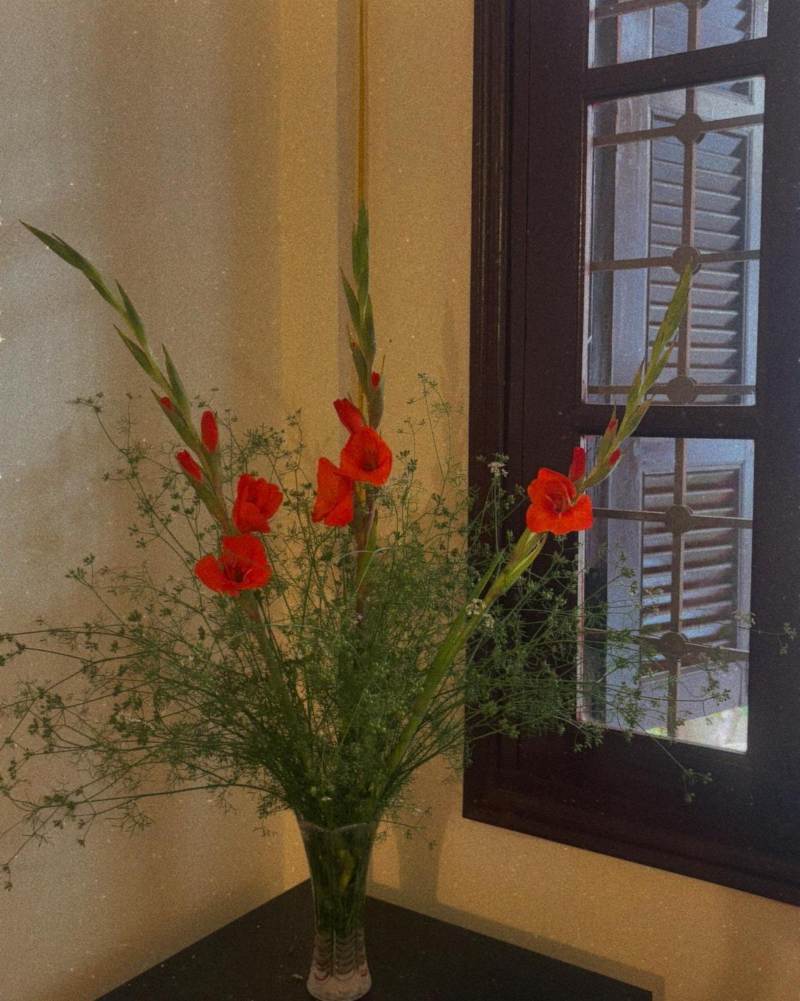 Tropical Land Little Hanoi Homestay Luaran gambar